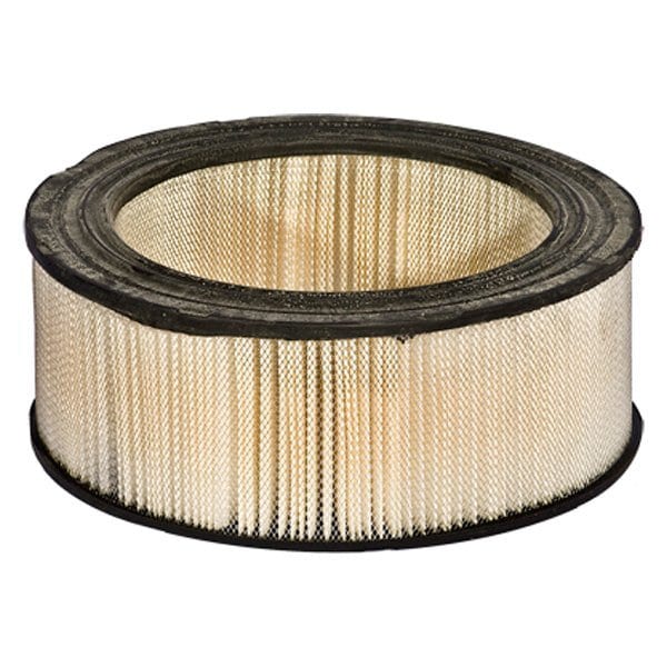 Motorcraft Air Filter Filter Element, Fa1079 FA1079 - main